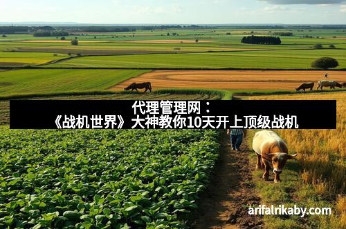 代理管理网：《战机世界》大神教你10天开上顶级战机